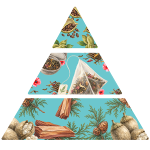 Parfum pour savons Bergamote & Cèdre pyramide olfactive FP