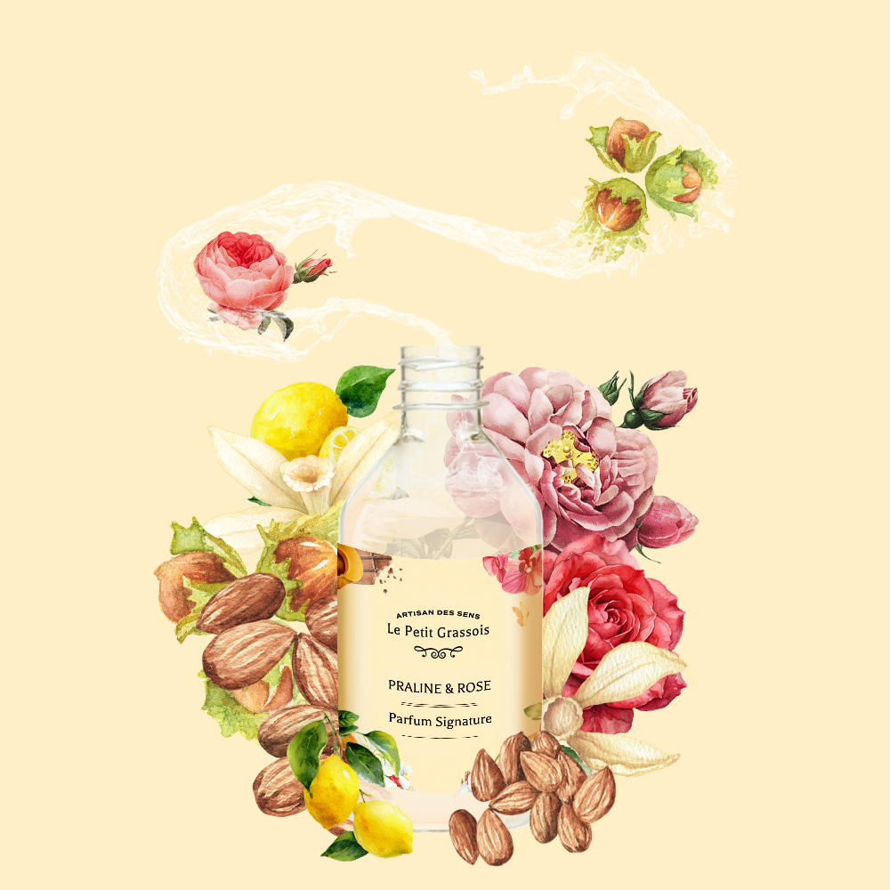 Parfum pour bougies <span>Praline & Rose</span>