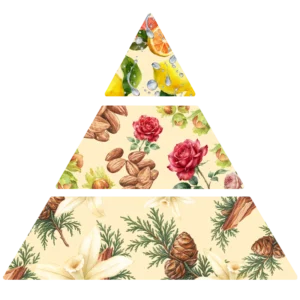 Parfum pour bougies Praline & Rose pyramide olfactive FP