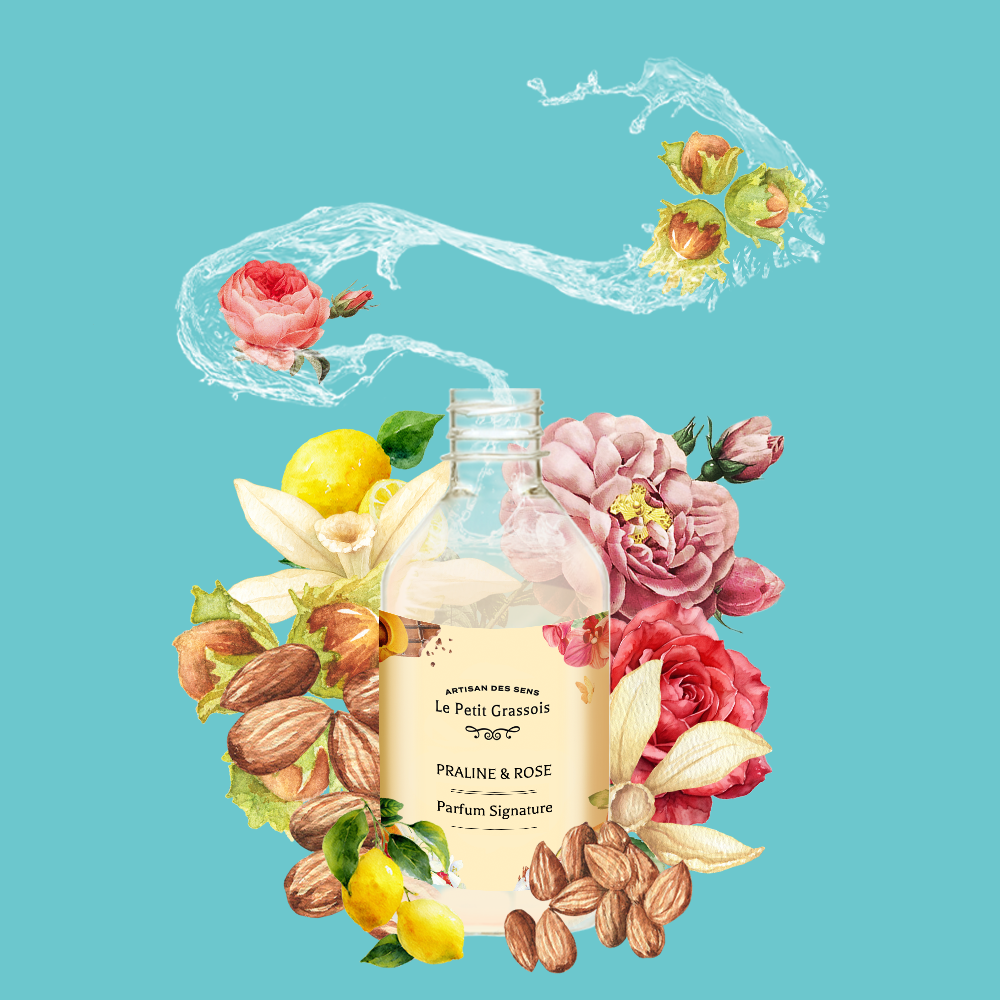 Parfum pour savons <span>Praline & Rose</span>