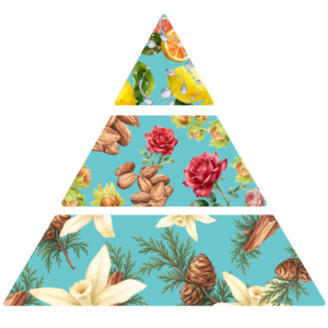 Parfum pour savons Praline & Rose pyramide olfactive FP